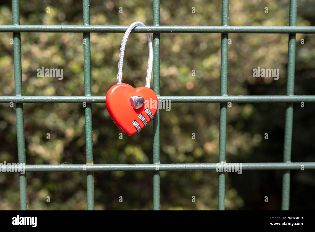 Red heart shaped padlock attached to a green lattice fence Stock Photo ...
