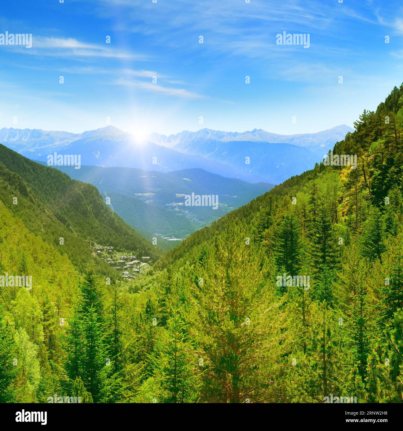 Pine covered hillside view hi-res stock photography and images - Alamy