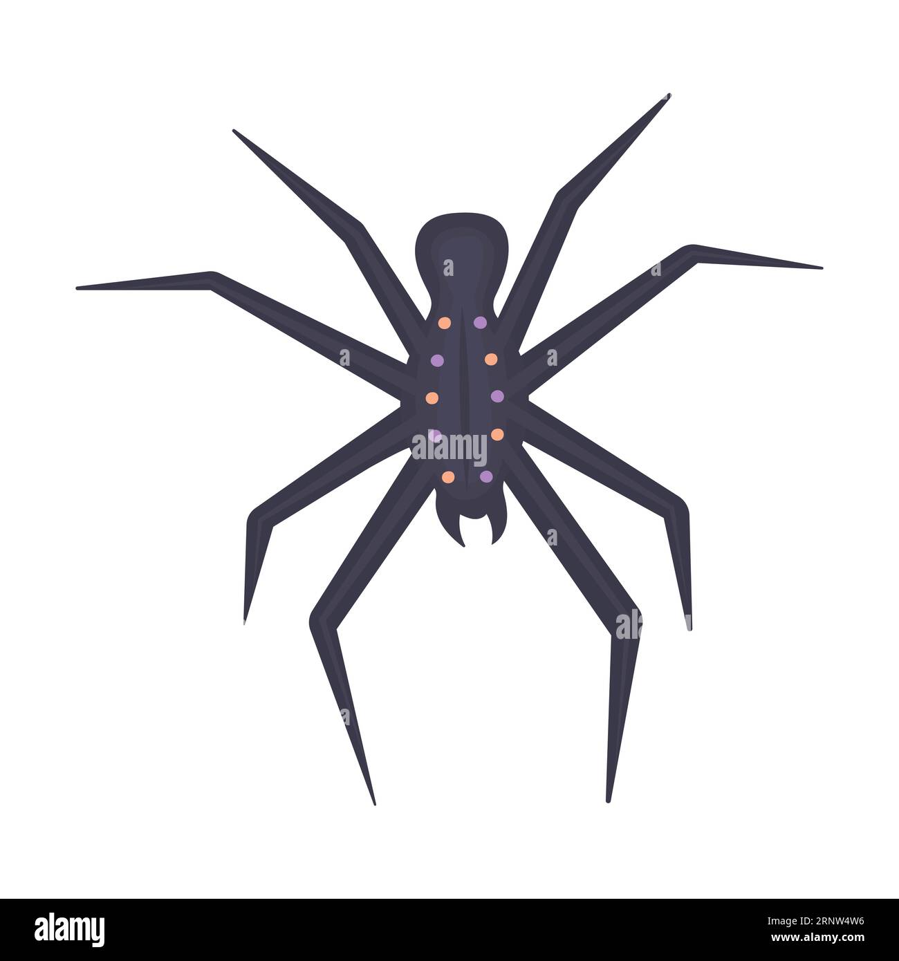 Dark poisonous tropical spider, color illustration Stock Vector