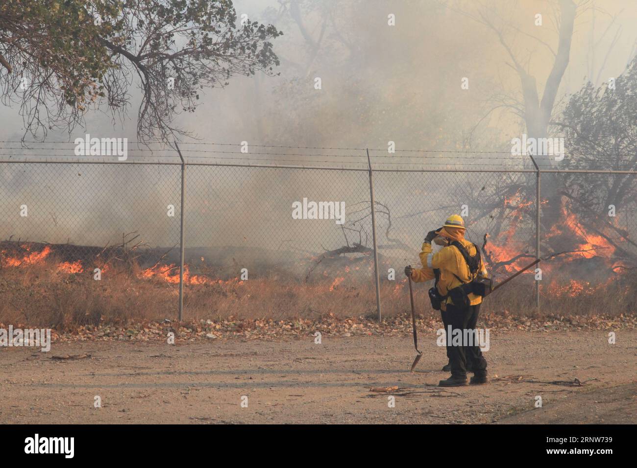 (171206) -- CALIFORNIA, Dec. 6, 2017 -- Firefighters encounter the flame in Ventura County of California, the United States, Dec. 5, 2017. Brush fires across the region were fed by extremely high winds, low humidities and dry fuel. Hundreds of fire fighters have been working very hard to minimize damage to property and evacuations are taking place in many places in south California, said authorities. ) (zjy) U.S.-CALIFORNIA-WILDFIRE HuangxHeng PUBLICATIONxNOTxINxCHN Stock Photo