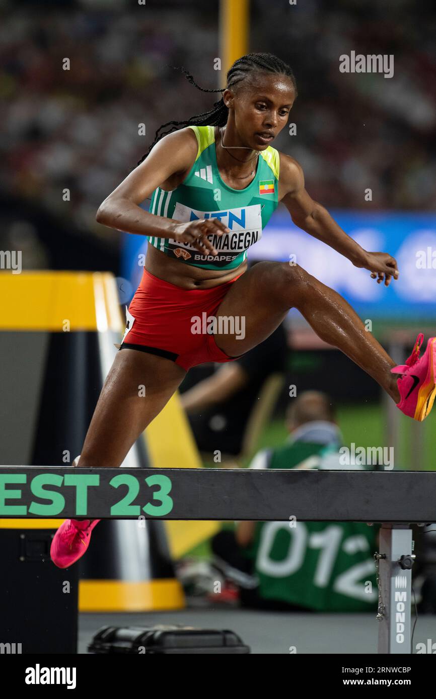 Zerfe Wondemagegn of Ethiopia competing in the women’s 3000m steeplechase on day nine at the World Athletics Championships at the National Athletics C Stock Photo