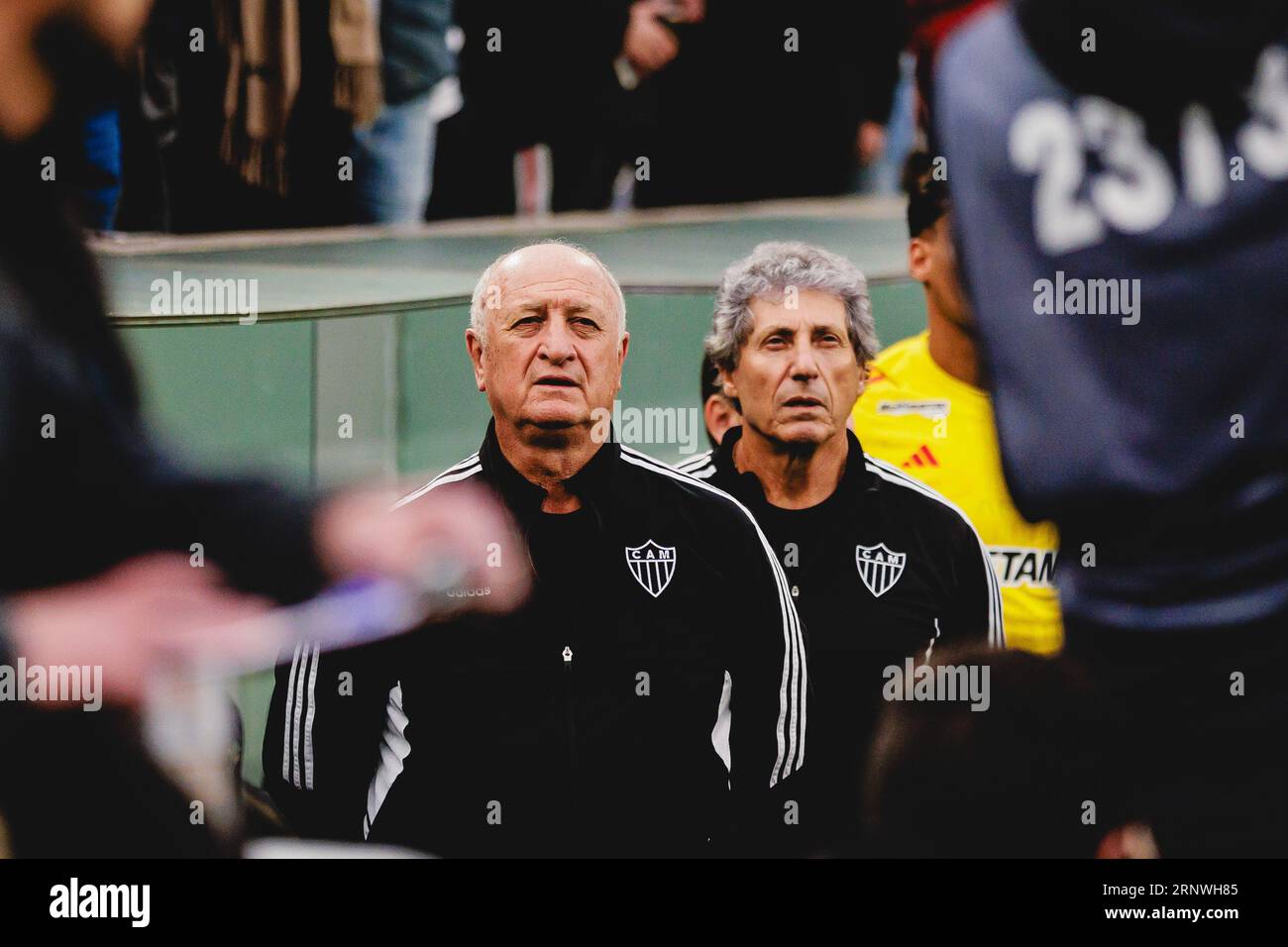 Joaquim americo guimaraes estadio hires stock photography and images