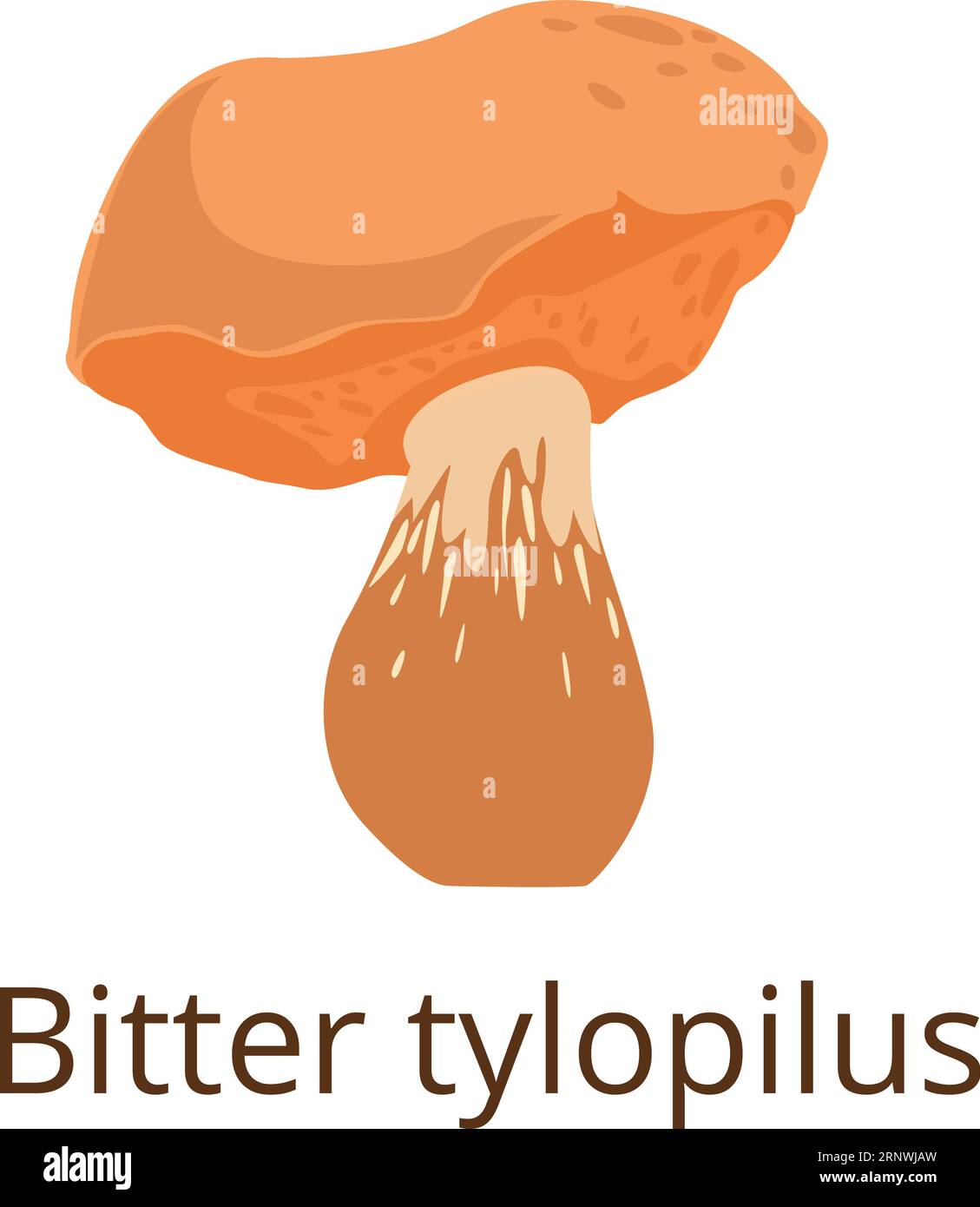 Bitter tylopilus icon. Color mushroom. Forest fungus Stock Vector