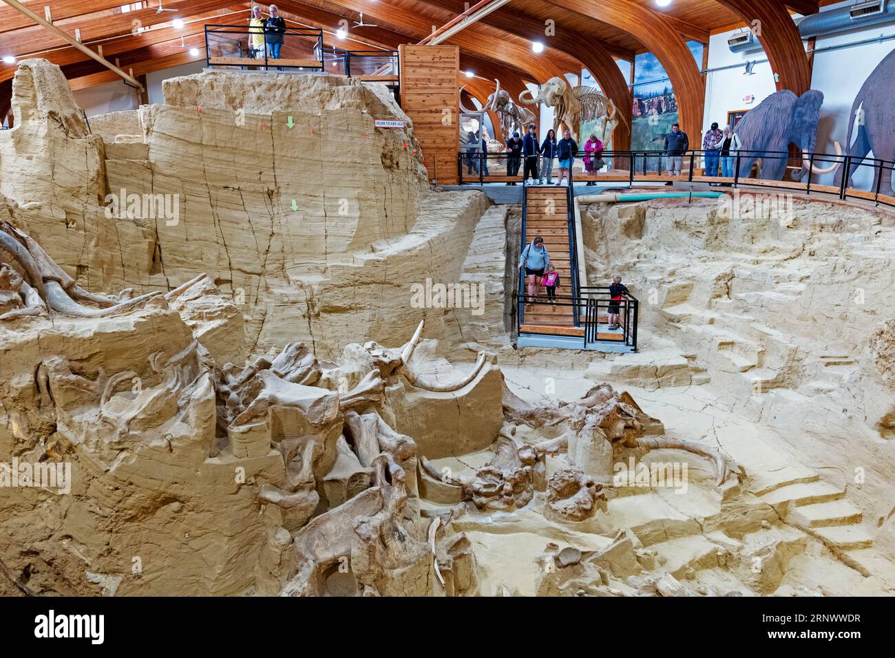Visitors view the Mammoth Site; museum & paleontological site; Hot