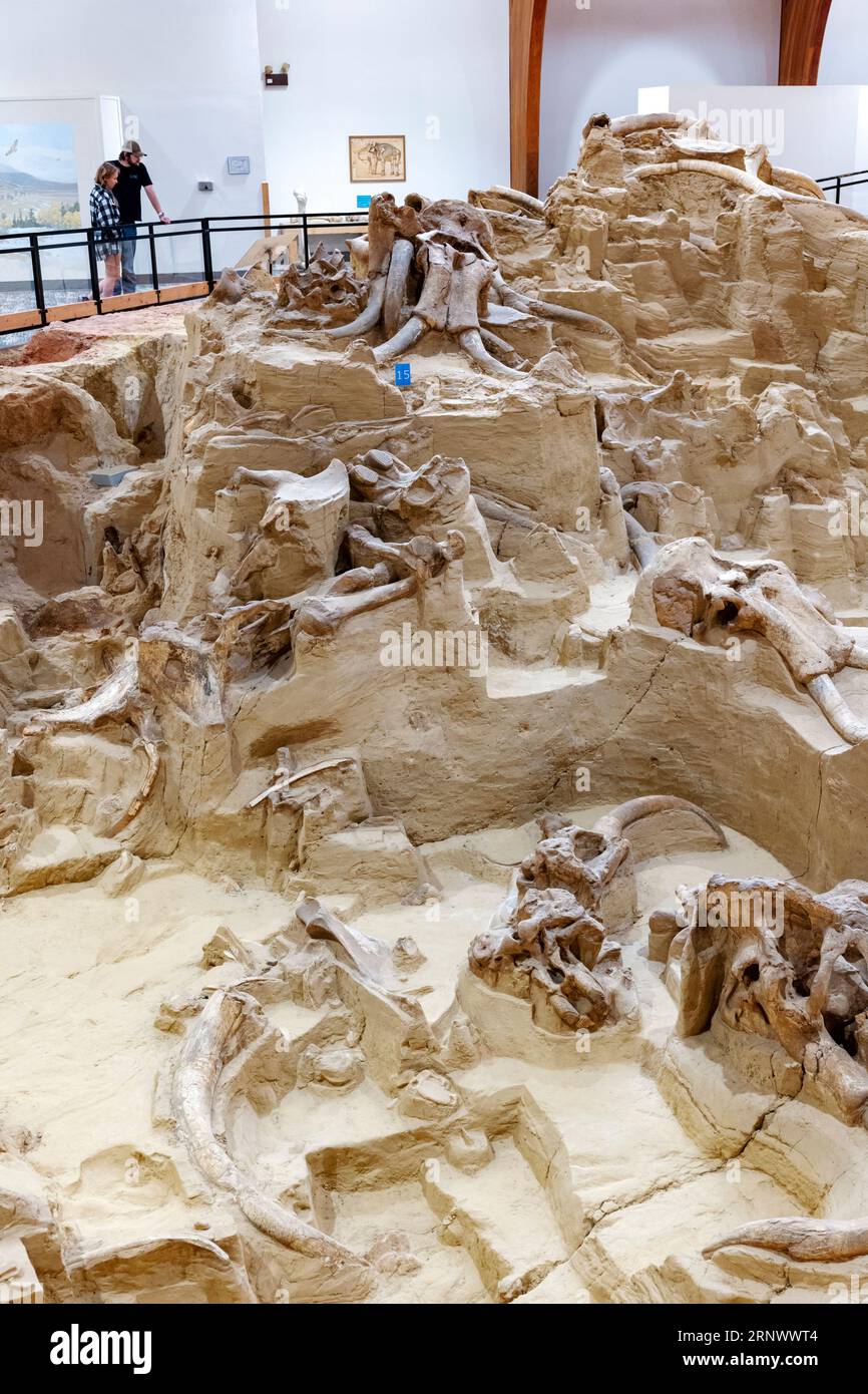 Visitors view the Mammoth Site; museum & paleontological site; Hot