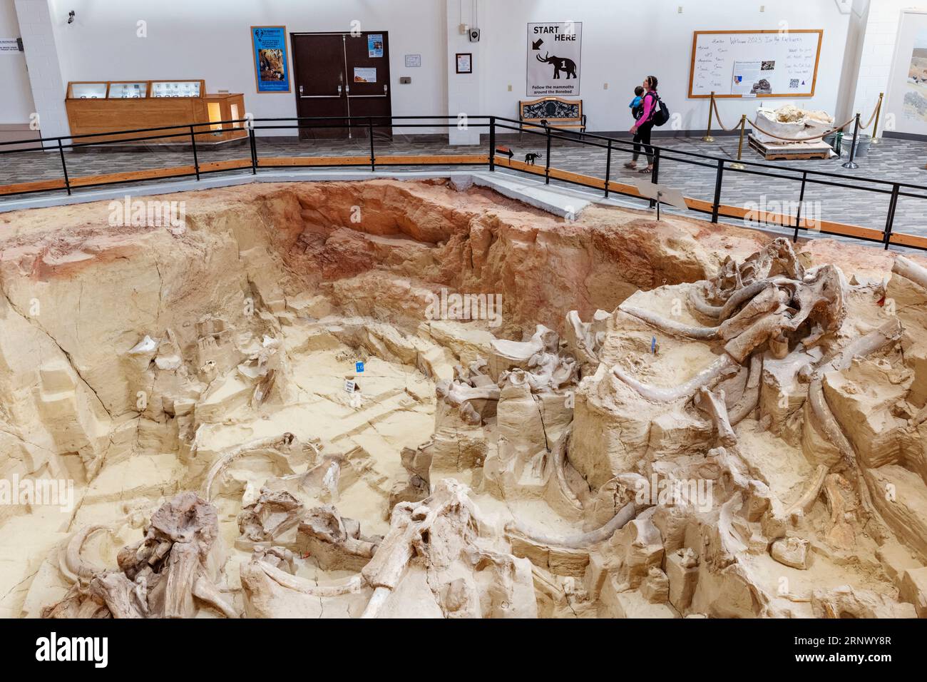 Visitors view the Mammoth Site; museum & paleontological site; Hot