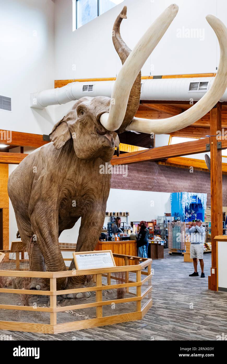 Visitors view the Mammoth Site; museum & paleontological site; Hot