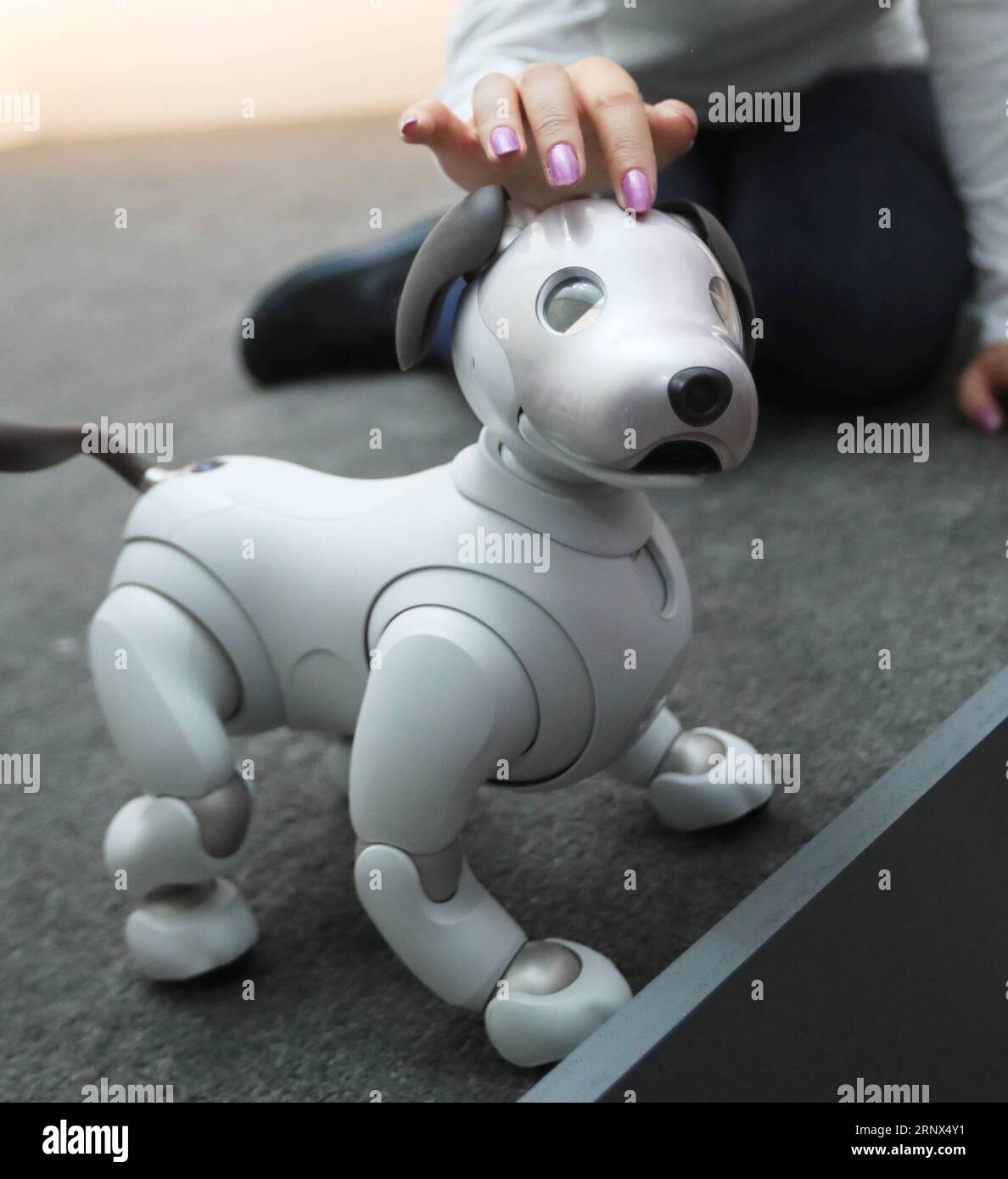 Sony aibo hot sale 2018 price