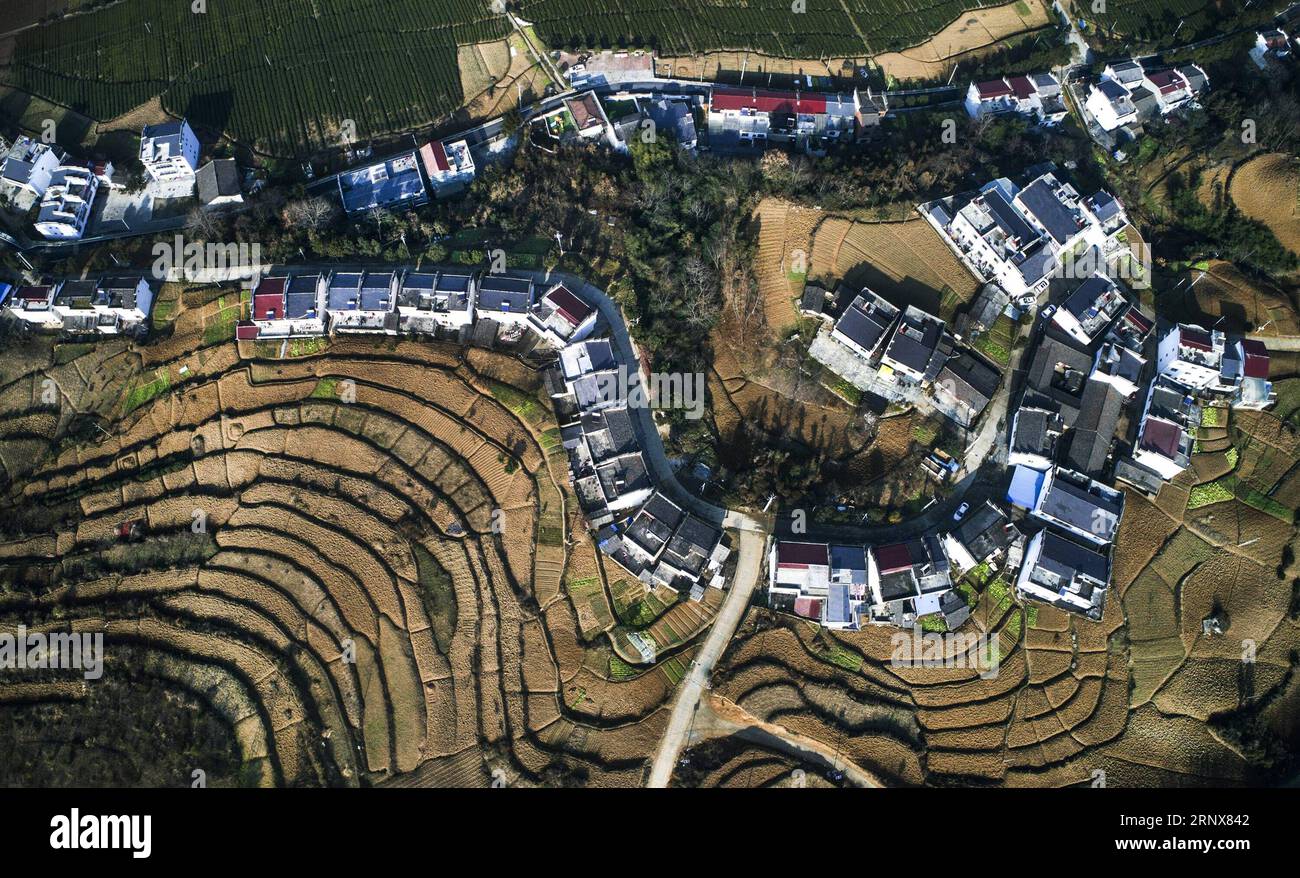 (180117) -- PINGLI, Jan. 17, 2018 -- Photo taken on Jan. 16, 2018 shows the scenery of Longtou Village of Pingli County, northwest China s Shaanxi Province. Pingli County now has 12,000-hectare ecological tea and 3,333-hectare Fiveleaf Gynostemma Herb. The planting industry plays a leading role in the local economic development. )(wsw) CHINA-SHAANXI-TEA PLANTING INDUSTRY (CN) TaoxMing PUBLICATIONxNOTxINxCHN Stock Photo