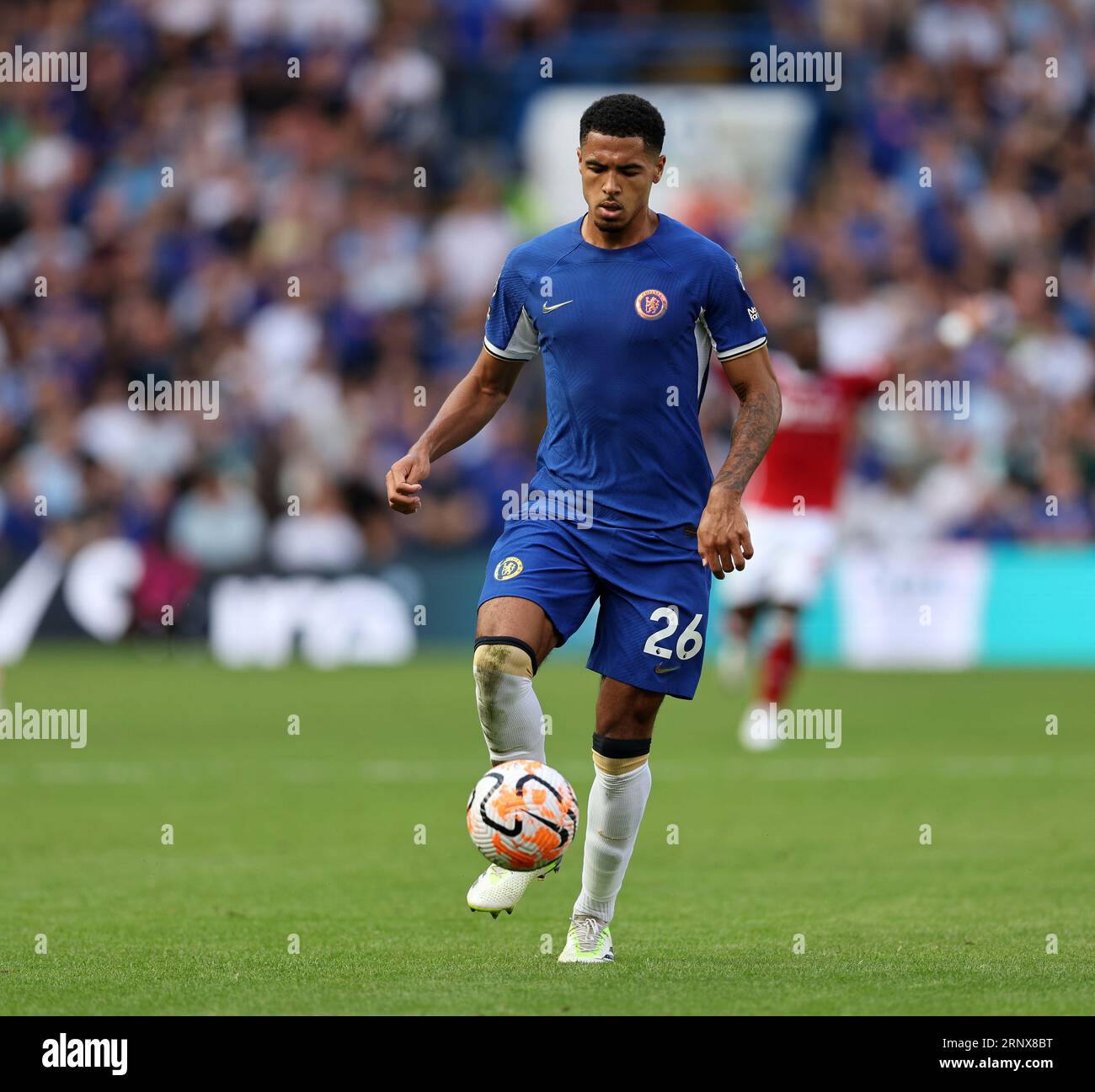 Levi colwill soccer hi-res stock photography and images - Page 4 - Alamy