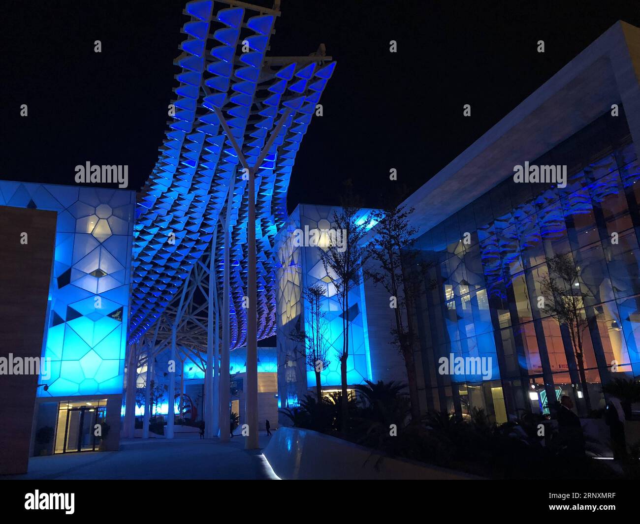 (180205) KUWAIT CITY, Feb. 5, 2018 Photo taken on Feb. 5, 2018