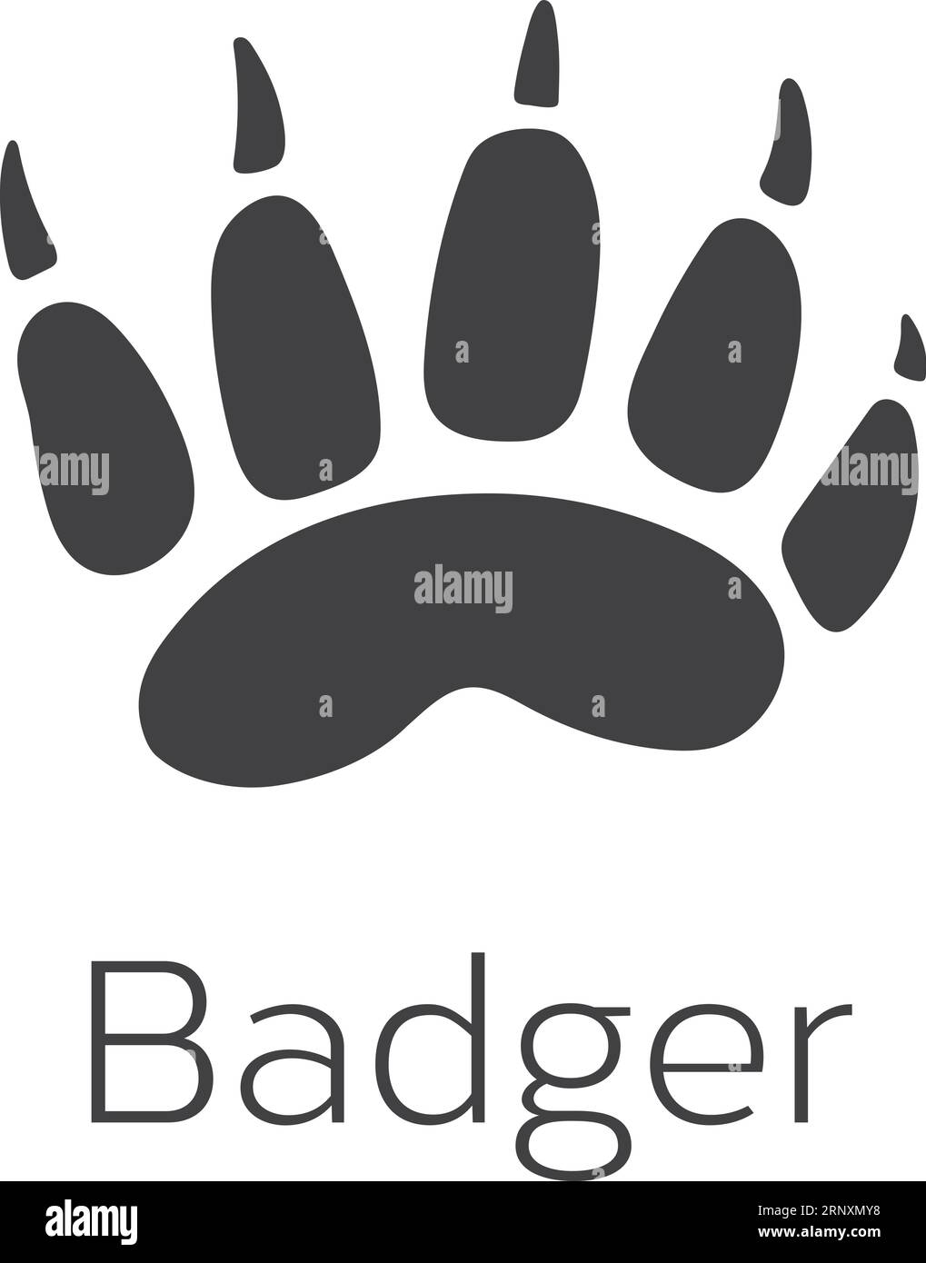 Badger feet Stock Vector Images - Alamy