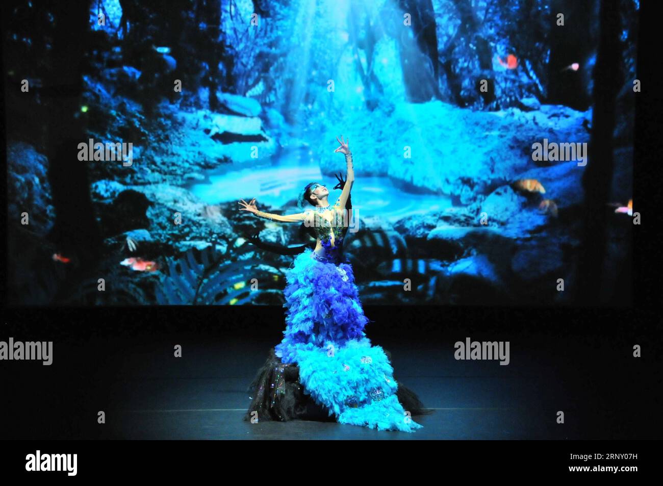 Peacock dance hi-res stock photography and images - Page 2 - Alamy