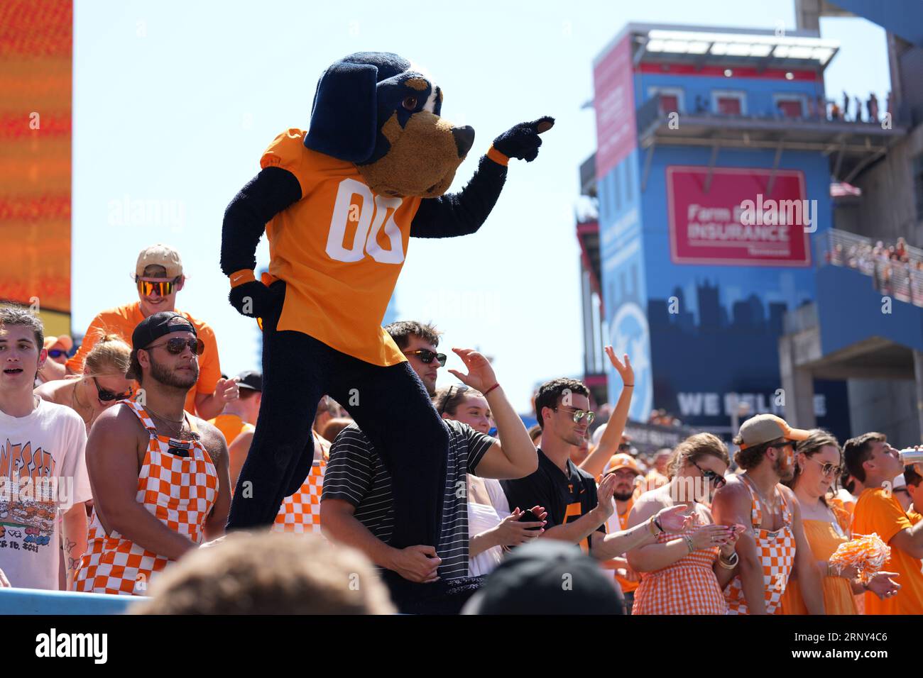 September 2, 2023: Tennessee Volunteers mascot Smokey during the NCAA football game between the University of Tennessee Volunteers and the University of Virginia Cavaliers at Nissan Stadium in Nashville TN Tim Gangloff/CSM Stock Photo