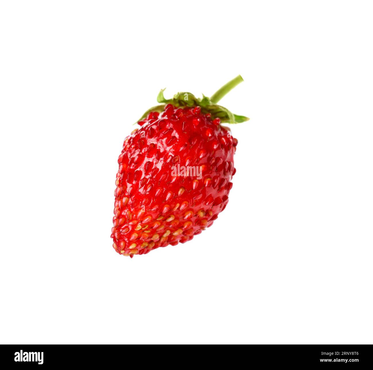 One ripe wild strawberry isolated on white Stock Photo - Alamy