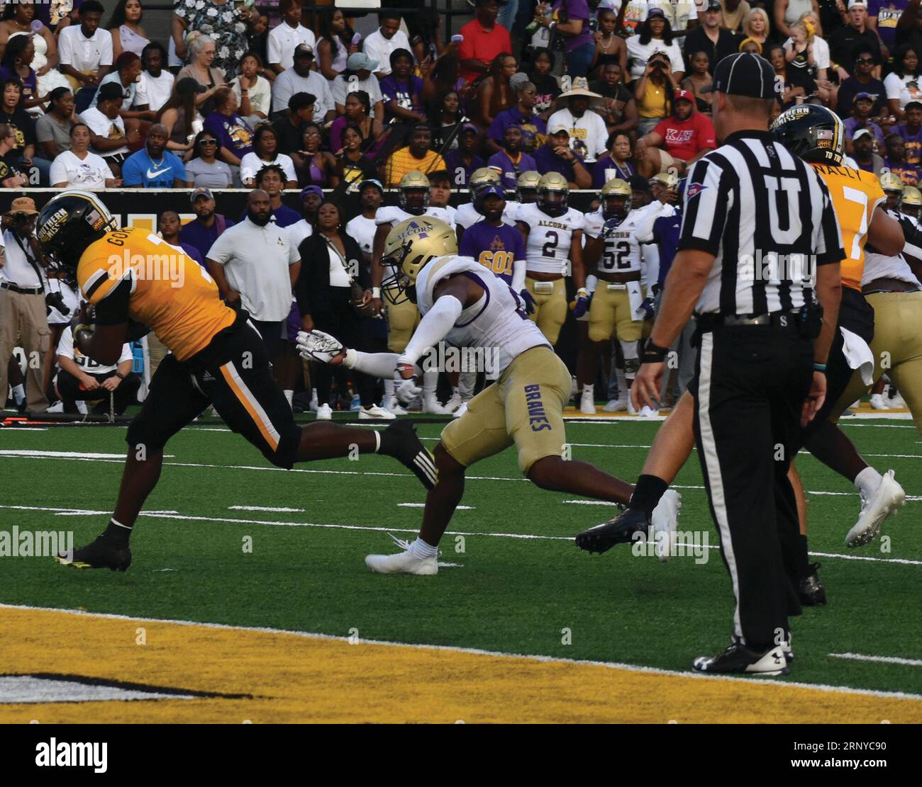 Southern Miss sophomore RB Frank Gore Jr. receiving preseason hype