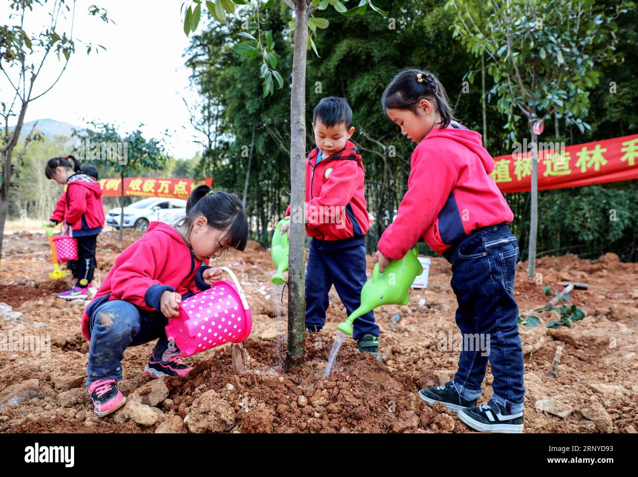 180312) -- CHANGXING, March 12, 2018 -- Children water a tree during a tree  planting activity at Lijiaxiang Township of Changxing County, east China s  Zhejiang Province, March 12, 2018. A tree