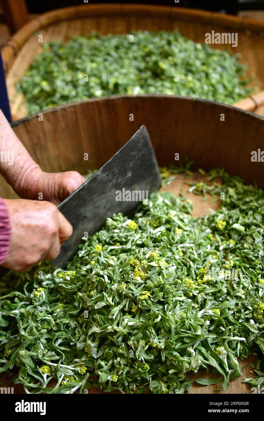 Fan cuts hi-res stock photography and images - Alamy