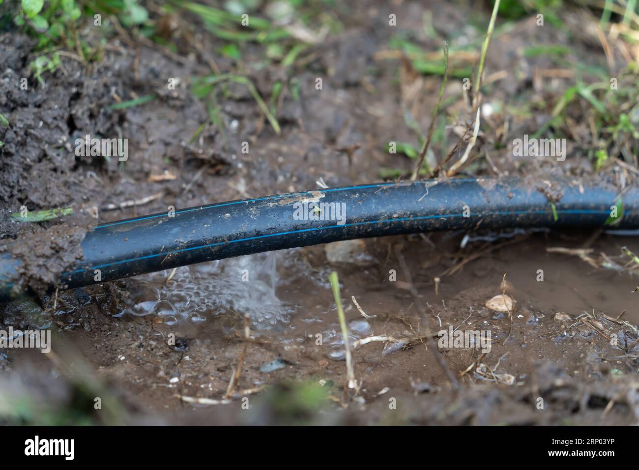 Water leaking on the water hose Stock Photo Alamy