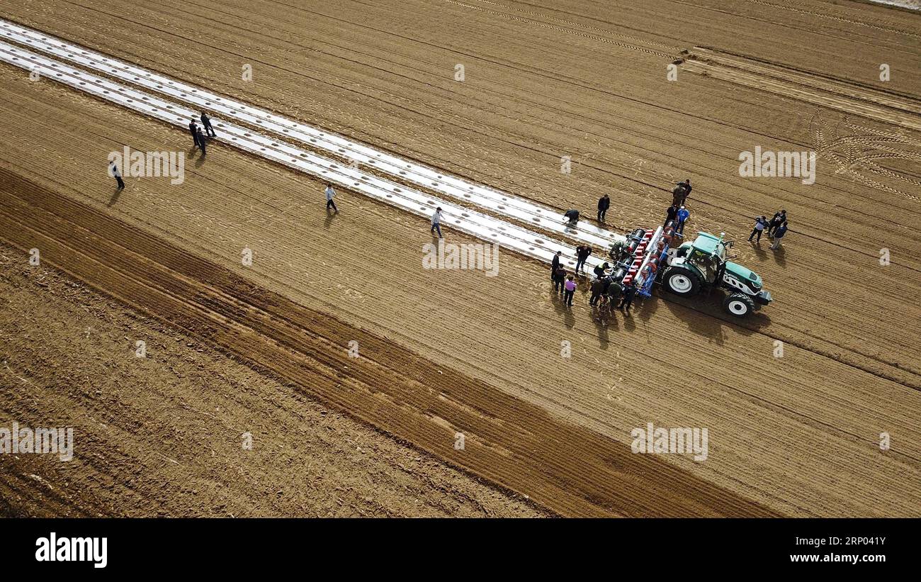 (180417) -- BEIJING, April 17, 2018 -- Aerial photo taken on March 23, 2018 shows a self-driving tractor sowing cotton seeds in the field at Yaha Township of Kuqa County, northwest China s Xinjiang Uygur Autonomous Region. China s GDP reached 19.88 trillion yuan (about 3.2 trillion U.S. dollars) in the first three months of 2018, up 6.8 percent year on year at comparable prices, according to the National Bureau of Statistics (NBS). ) (lb) CHINA-ECONOMY-Q1-GDP-GROWTH (CN) HuxHuhu PUBLICATIONxNOTxINxCHN Stock Photo