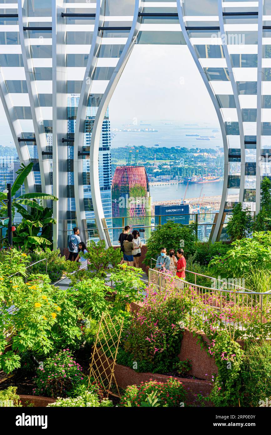 Views over the CBD towards the Singapore Strait from the 51st level roof top sky garden in biophilic designed CapitaSpring building in Singapore Stock Photo
