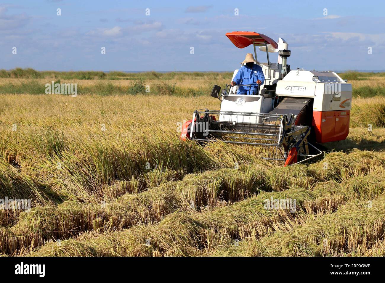 (180514) -- GAZA(MOZAMBIQUE), May 14, 2018 () -- A harvester works in the rice field of Wanbao rice farm in Gaza province, Mozambique, April 4, 2018. The Wanbao Mozambique rice farm, invested by the China-Africa Development Fund, is the largest of its kind undertaken by China in Africa. The project, a comprehensive business that incorporates plantation, storage, processing and sales, aims to develop 20,000 hectares of farmland, and will lead farmers in surrounding areas to grow crops over another 80,000 hectares. () (sxk) MOZAMBIQUE-GAZA-CHINA-AGRICULTURAL PROJECT Xinhua PUBLICATIONxNOTxINxCHN Stock Photo