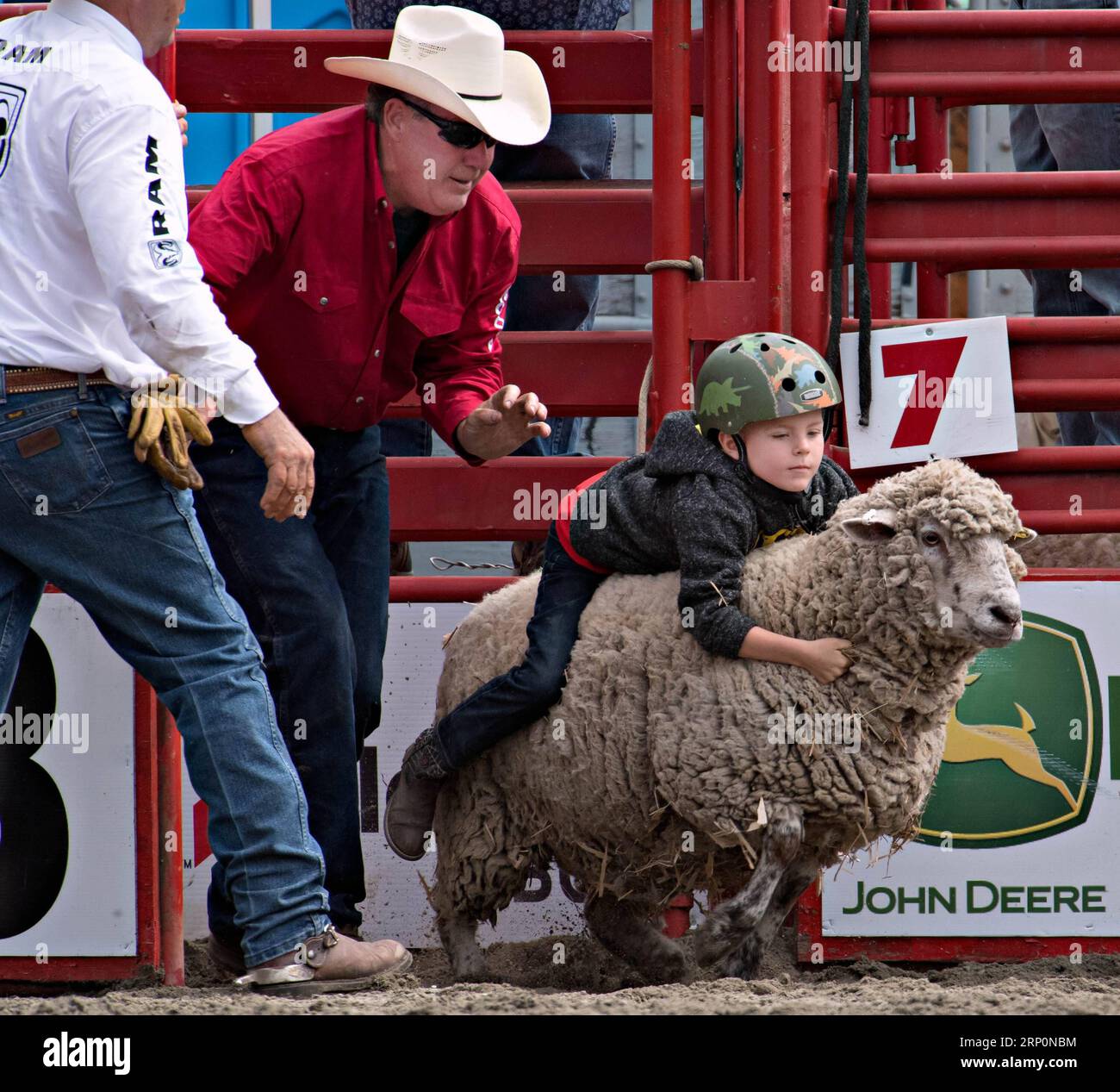 Surry Rodeo Rides Mutton busting hi-res stock photography and images - Alamy