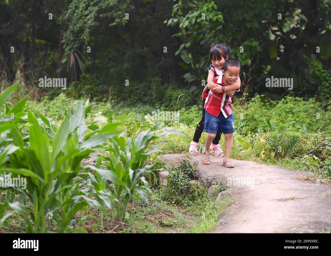 (180529) -- NANCHANG, May 29, 2018 -- Six-year-old Xu Yunlong carries his twin sister Xu Yunfeng on his back in Suolong Village of Yudu County, east China s Jiangxi Province, May 23, 2018. With about 1,000 residents, Suolong Village has 29 cases of multiple births, a high rate considering the modest population size. ) (lmm) CHINA-JIANGXI-VILLAGE-MULTIPLE BIRTHS-TWINS-LIFE (CN) HuxChenhuan PUBLICATIONxNOTxINxCHN Stock Photo