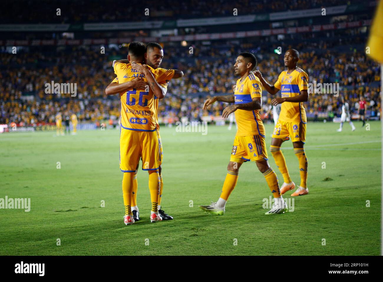 Campeões do Campeonato Mexicano - LIGA MX