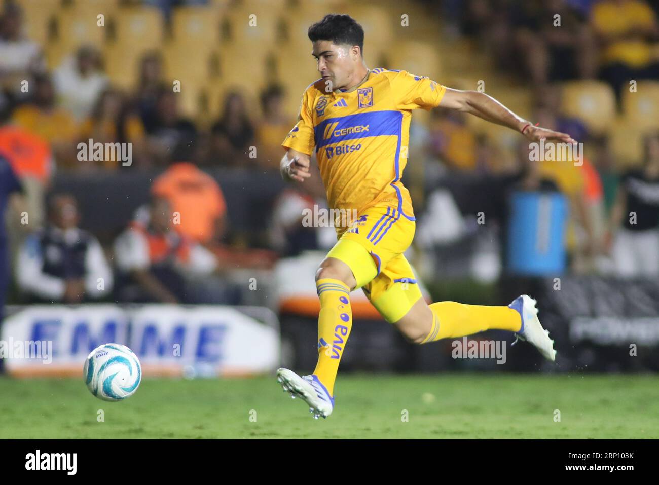 Tigres uanl liga mx hi-res stock photography and images - Alamy