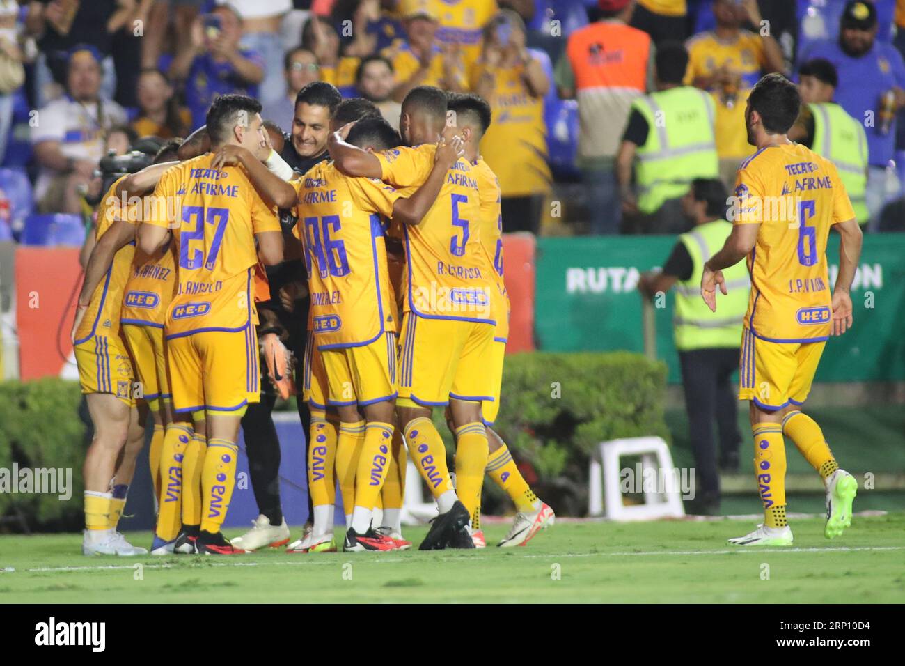 Tigres uanl liga mx hi-res stock photography and images - Alamy