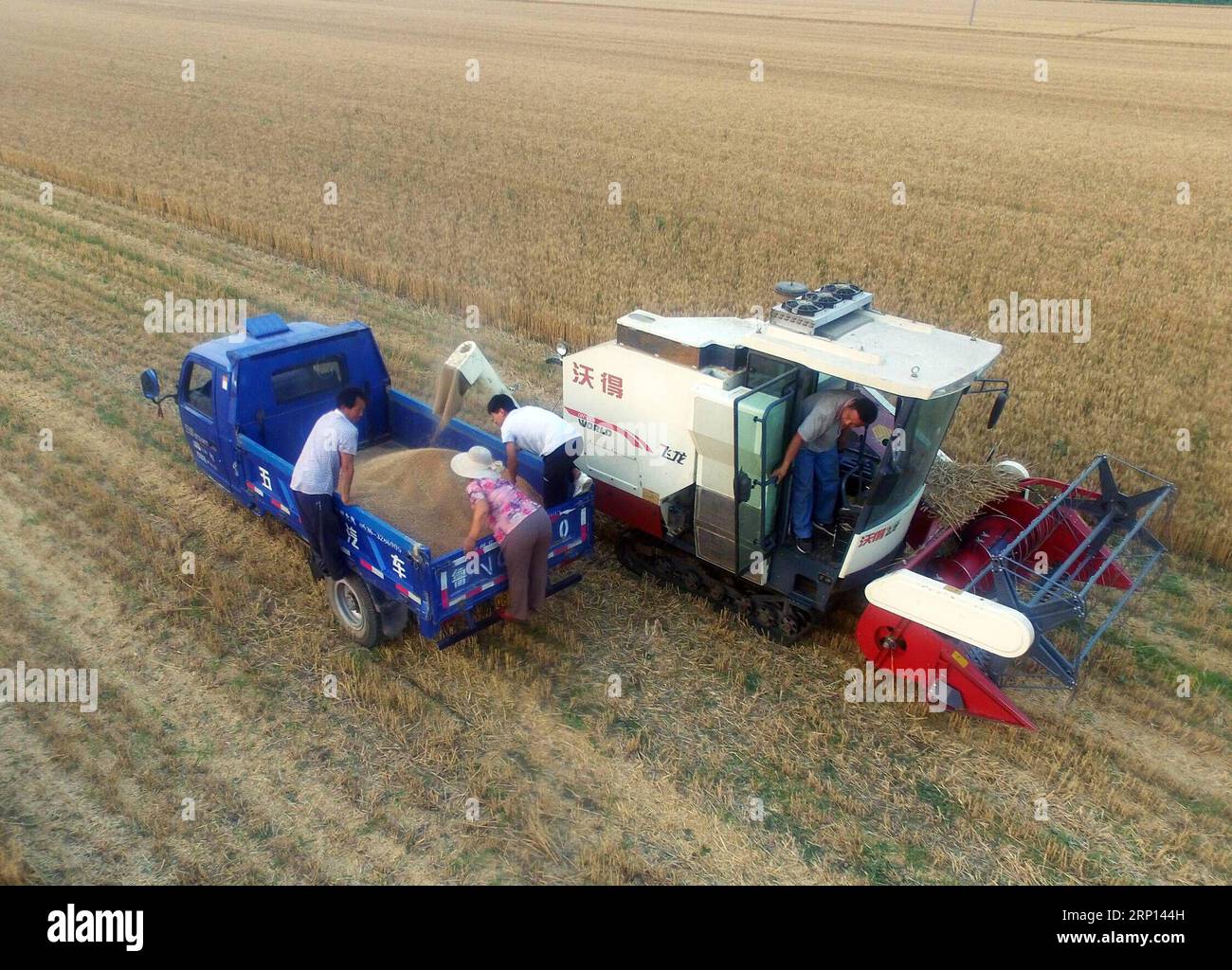 Samuelson Reaper At Work Cuixlilai hi-res stock photography and images - Alamy