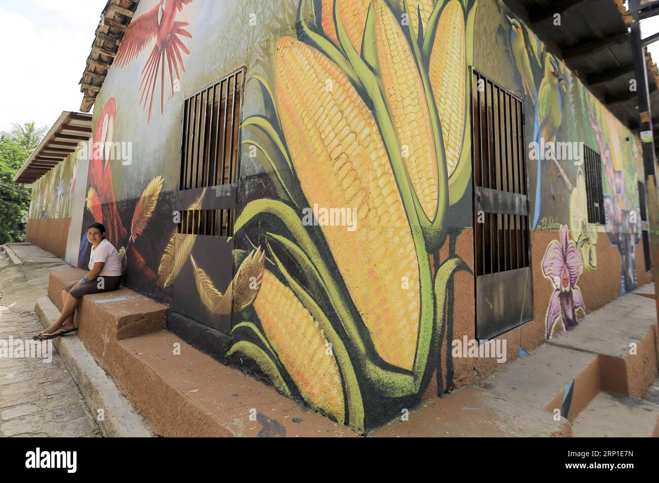(180630) -- SAN JUAN DE FLORES, June 30, 2018 -- A woman sits in front of a house painted with mural in the municipality of San Juan de Flores, department of Francisco Morazan, Honduras, on June 29, 2018. ) (djj) HONDURAS-SAN JUAN DE FLORES-MURALS RafaelxOchoa PUBLICATIONxNOTxINxCHN Stock Photo