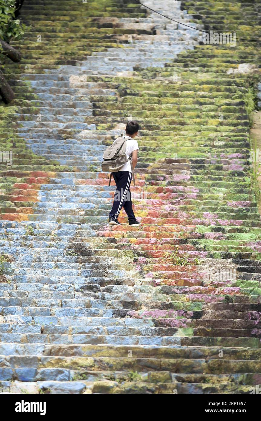 (180630) -- SAN JUAN DE FLORES, June 30, 2018 -- A boy walks on the steps painted with mural in the municipality of San Juan de Flores, department of Francisco Morazan, Honduras, on June 29, 2018. ) (djj) HONDURAS-SAN JUAN DE FLORES-MURALS RafaelxOchoa PUBLICATIONxNOTxINxCHN Stock Photo