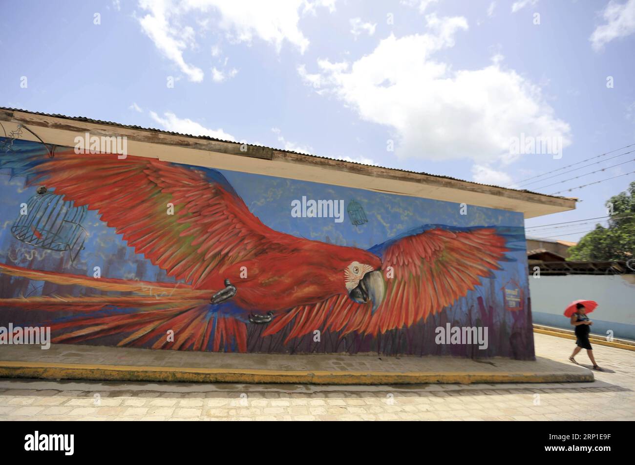 (180630) -- SAN JUAN DE FLORES, June 30, 2018 -- A woman walks past a house painted with mural in the municipality of San Juan de Flores, department of Francisco Morazan, Honduras, on June 29, 2018. ) (djj) HONDURAS-SAN JUAN DE FLORES-MURALS RafaelxOchoa PUBLICATIONxNOTxINxCHN Stock Photo