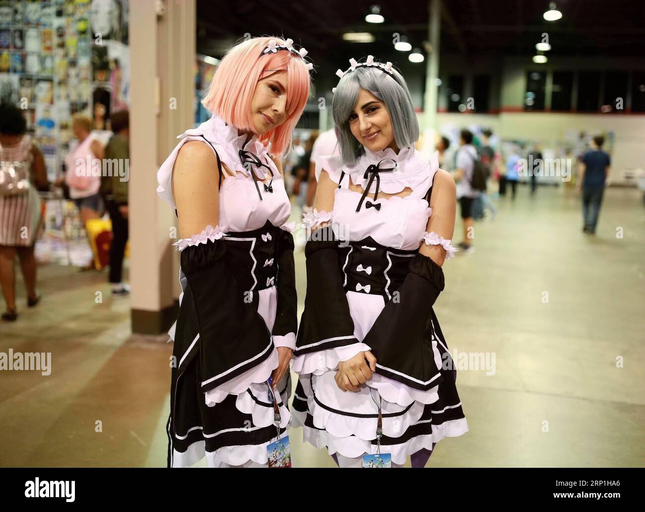 Anime Midwest | Things to do in Chicago