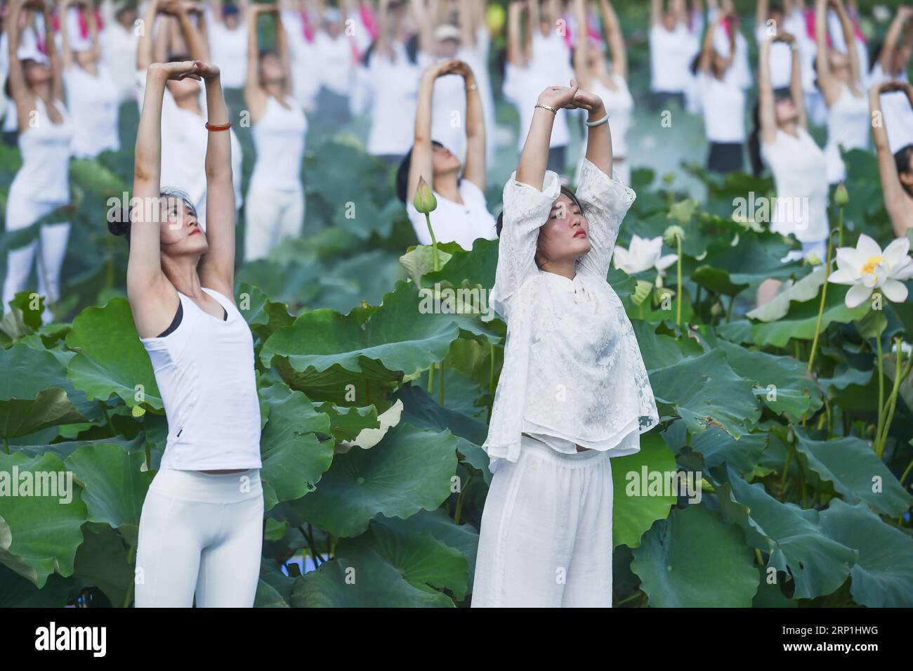 (180708) -- JIANNING, July 8, 2018 -- Yoga fans practice yoga amid lotus flowers at Xiuzhu Village of Jianning County in Sanming City, southeast China s Fujian Province, July 8, 2018. Nearly 1,000 yoga fans take part in a yoga show during a tourist activity held in the county. ) (sxk) CHINA-FUJIAN-JIANNING-YOGA SHOW (CN) SongxWeiwei PUBLICATIONxNOTxINxCHN Stock Photo