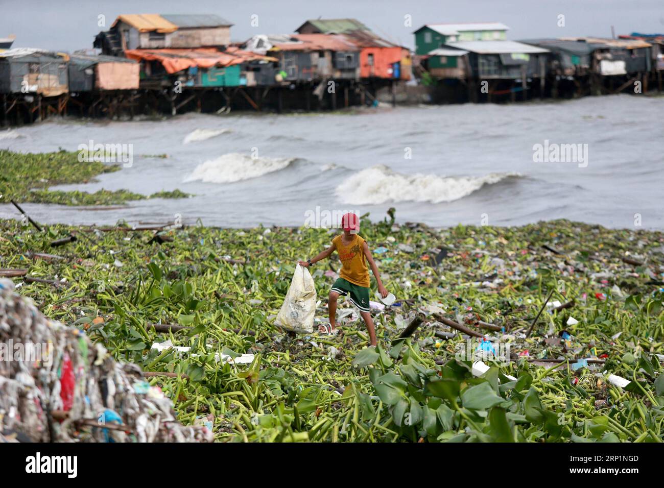 (180716) -- MANILA, July 16, 2018 -- A child walks on water lilies and garbage as he gathers reusable materials washed ashore by the tropical depression Henry in Manila, the Philippines, July 16, 2018. )(zhf) THE PHILIPPINES-MANILA-TROPICAL DEPRESSION HENRY ROUELLExUMALI PUBLICATIONxNOTxINxCHN Stock Photo