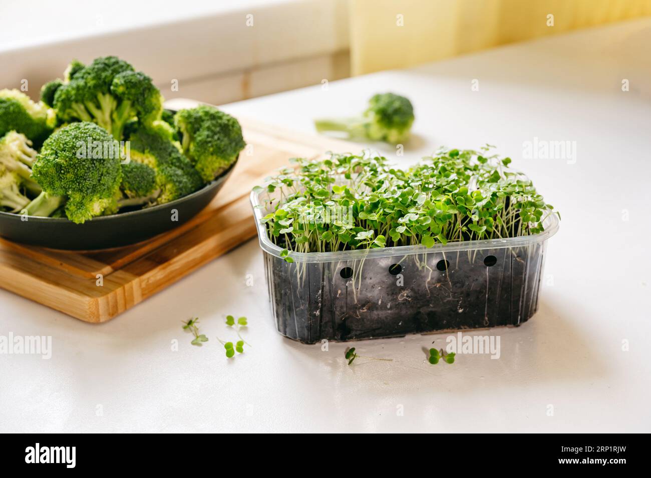 Broccoli sprouts rich in sulforaphane and antioxidants a phytochemicals with anti cancer and