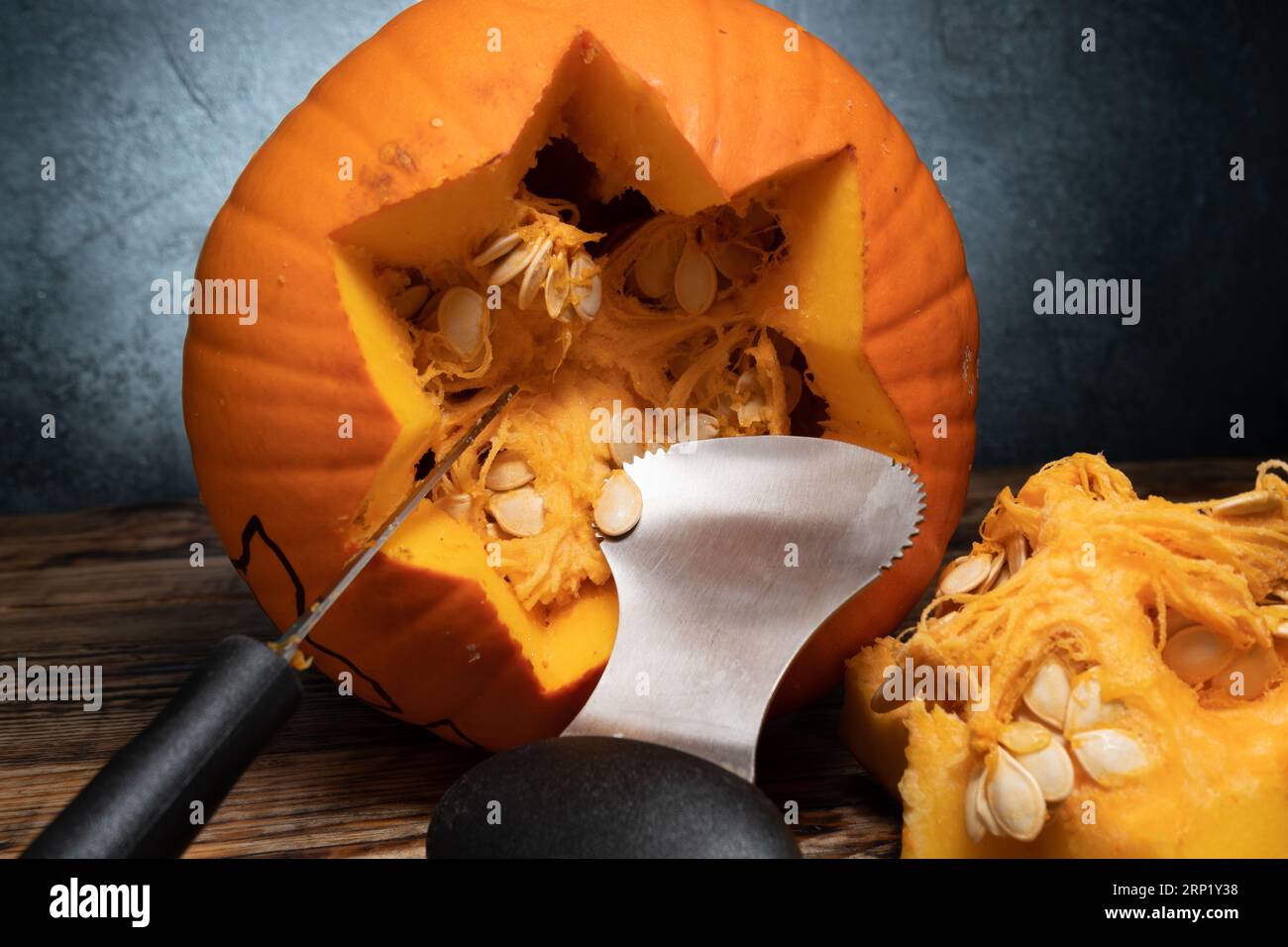 Halloween pumpkin gutting before carving Jacko'lantern. Guts, seeds inside being removed with
