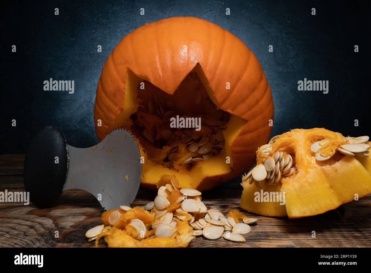 Halloween pumpkin gutting before carving Jacko'lantern. Guts, seeds inside being removed with