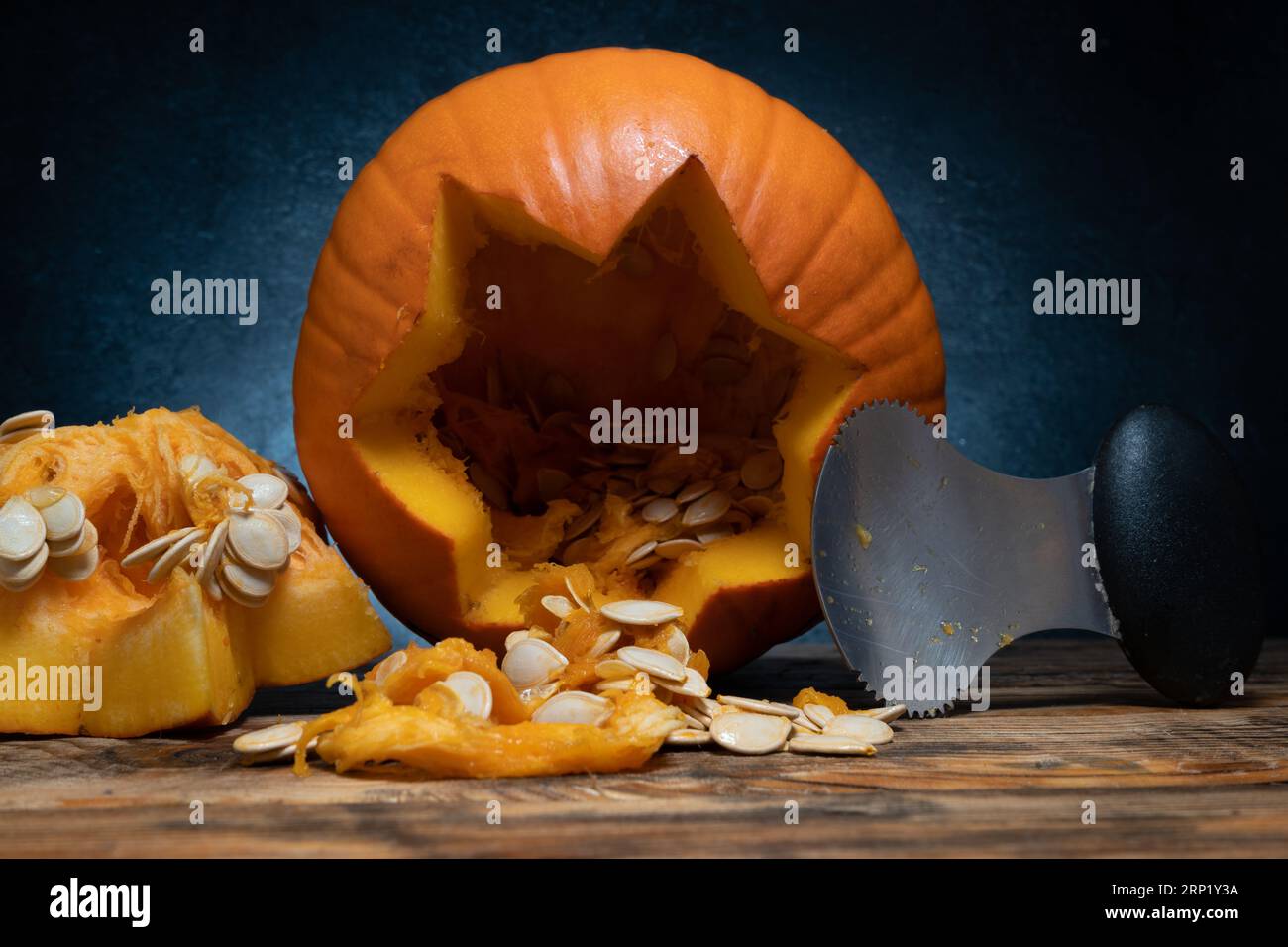 Halloween pumpkin gutting before carving Jacko'lantern. Guts, seeds inside being removed with