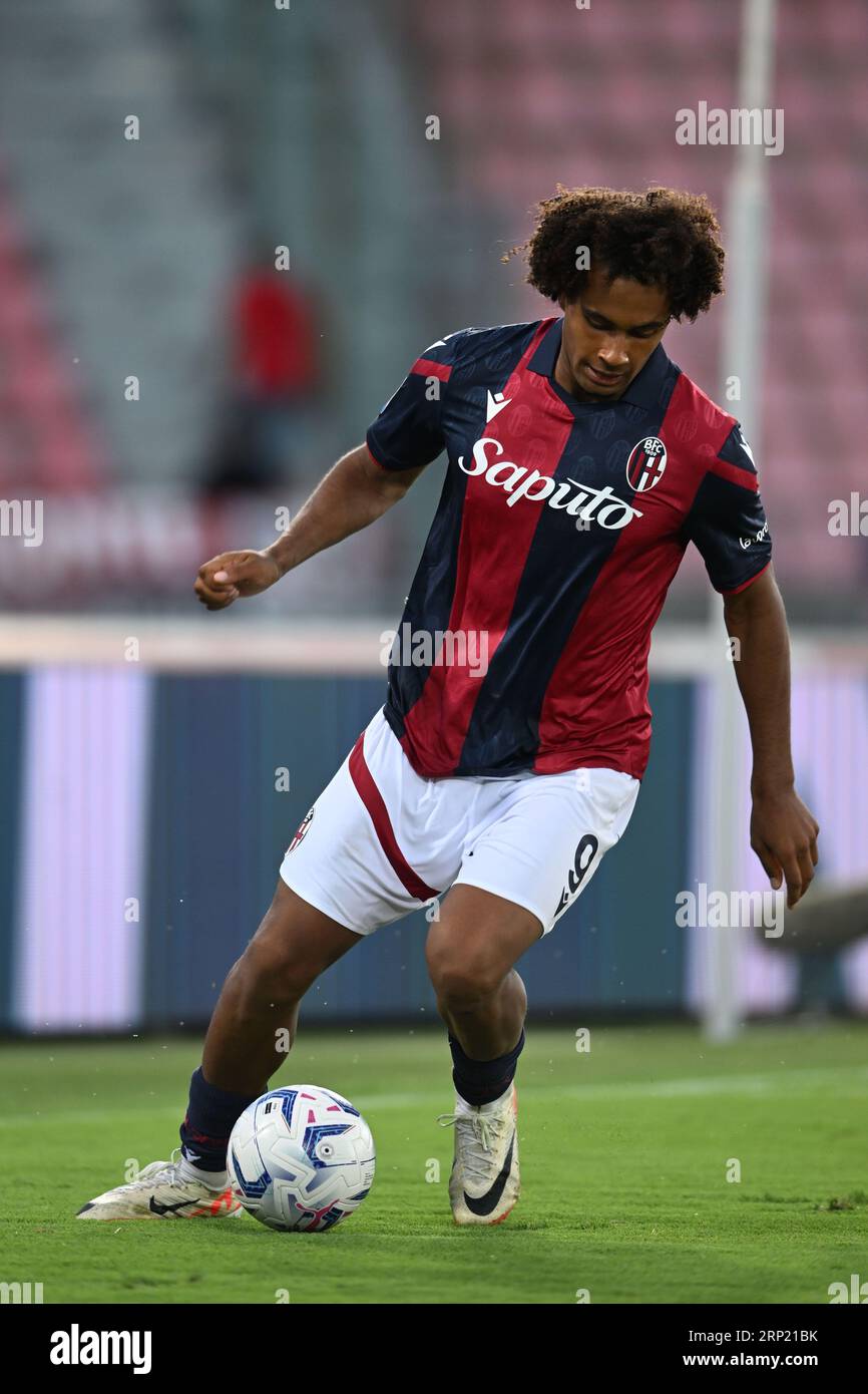 Joshua Zirkzee Bologna during the Italian