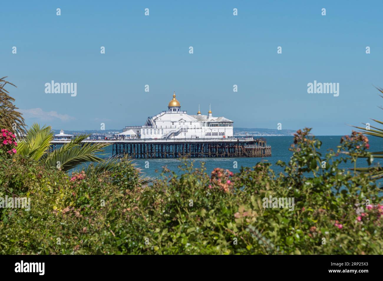 The end of Eastbourne pier framed by a bush, Eastbourne, East Sussex, UK. Stock Photo