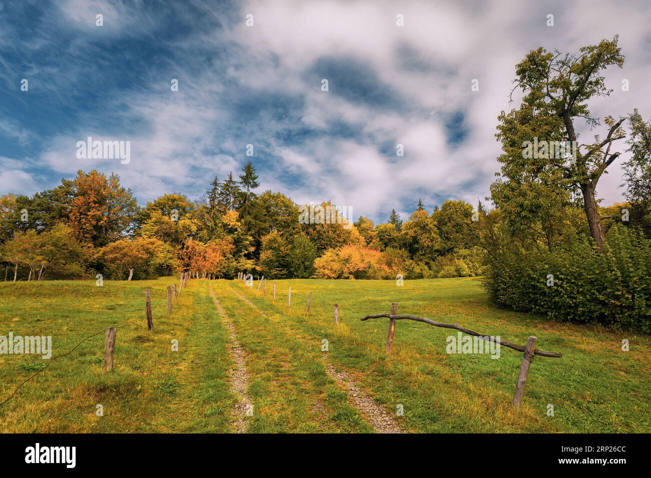 Country road to the autumn forest, blue sky and white clouds Stock ...