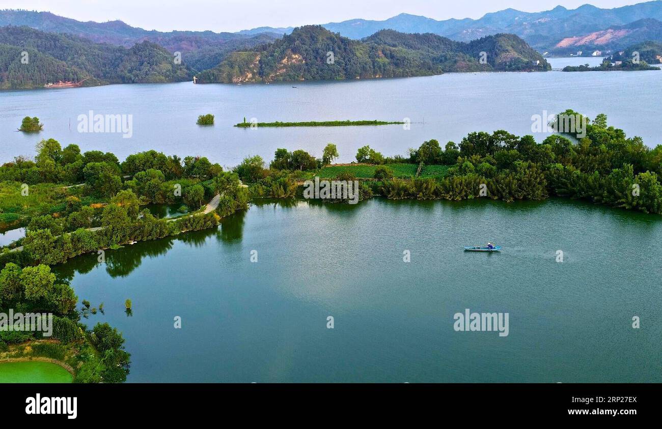 (180823) -- NANCHANG, Aug. 23, 2018 -- Aerial photo shows Zhang Chunmei catches fish on the lake in Wan an County, east China s Jiangxi Province, Aug. 21, 2018. Zhang Chunmei has been providing for her family after her husband, Xu Liliang, was diagnosed with Parkinson s disease in 2009. Thanks to her hardworking and the help from others, her family s living standard has improved. Her family decided to take a wedding dress photo to mark their 15 years wedding anniversary. ) (zyd) CHINA-JIANGXI-WEDDING ANNIVERSARY-POVERTY (CN) HuxChenhuan PUBLICATIONxNOTxINxCHN Stock Photo