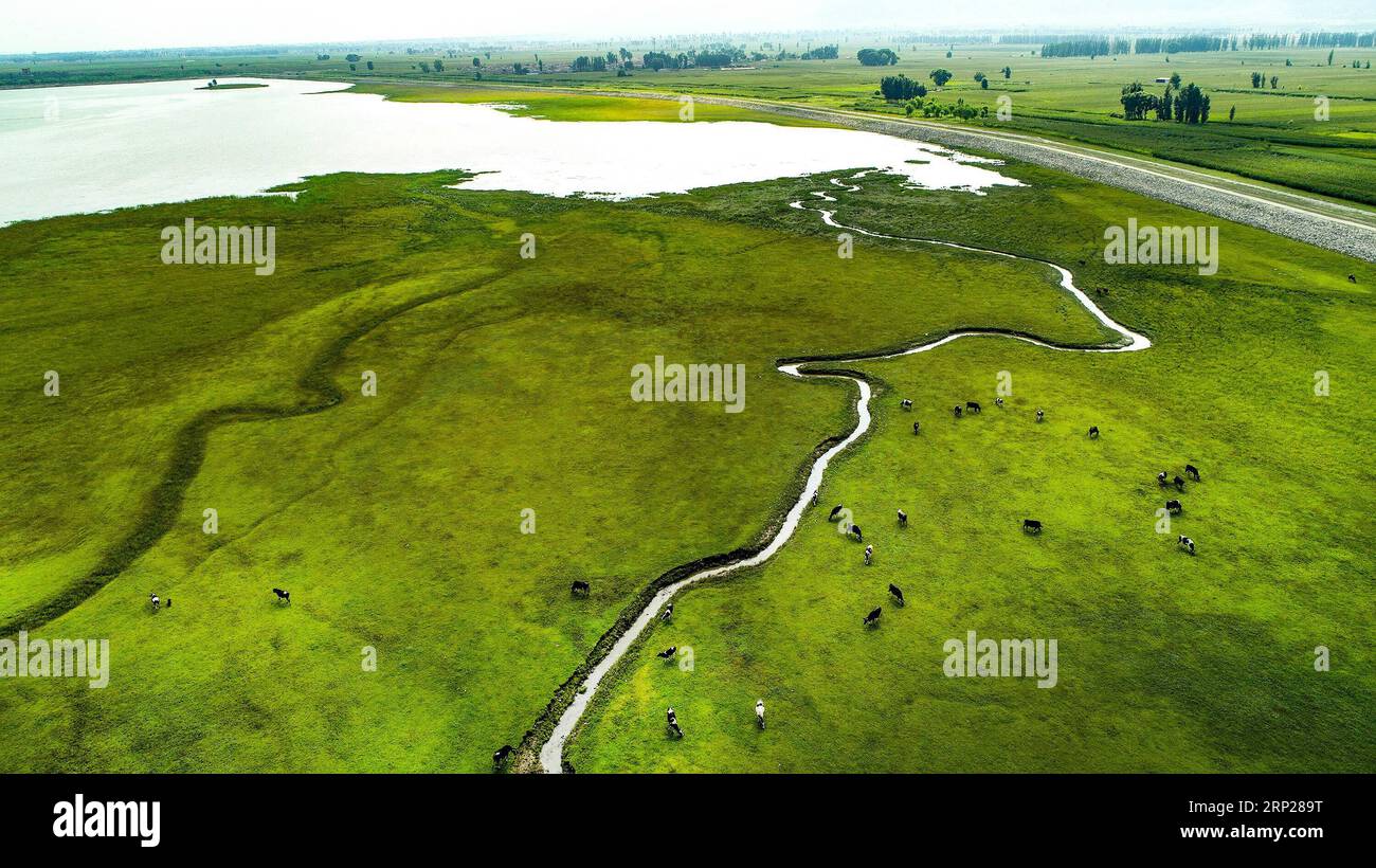 (180824) -- GUANGLING, Aug. 24, 2018 -- Aerial photo taken on Aug. 24, 2018 shows the view of Huliuhe wetland in Guangling County, north China s Shanxi Province. Beautiful landscape here attracts lots of tourists. ) (wyl) CHINA-SHANXI-GUANGLING-SCENERY (CN) TaoxMing PUBLICATIONxNOTxINxCHN Stock Photo