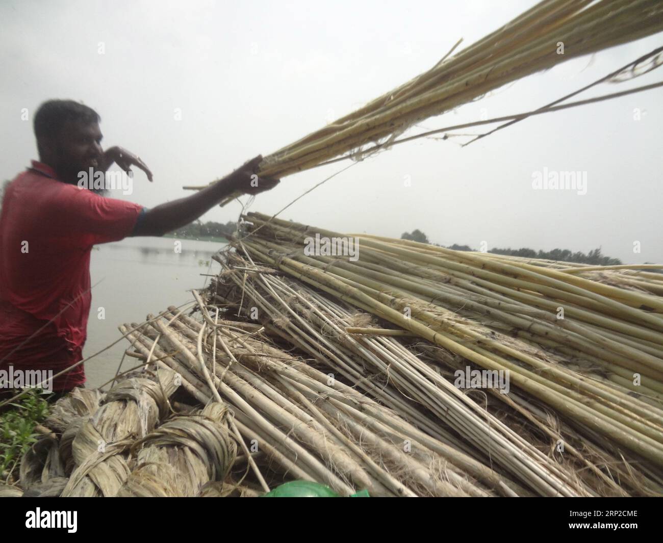 Bangladesh jute dry hi-res stock photography and images - Alamy