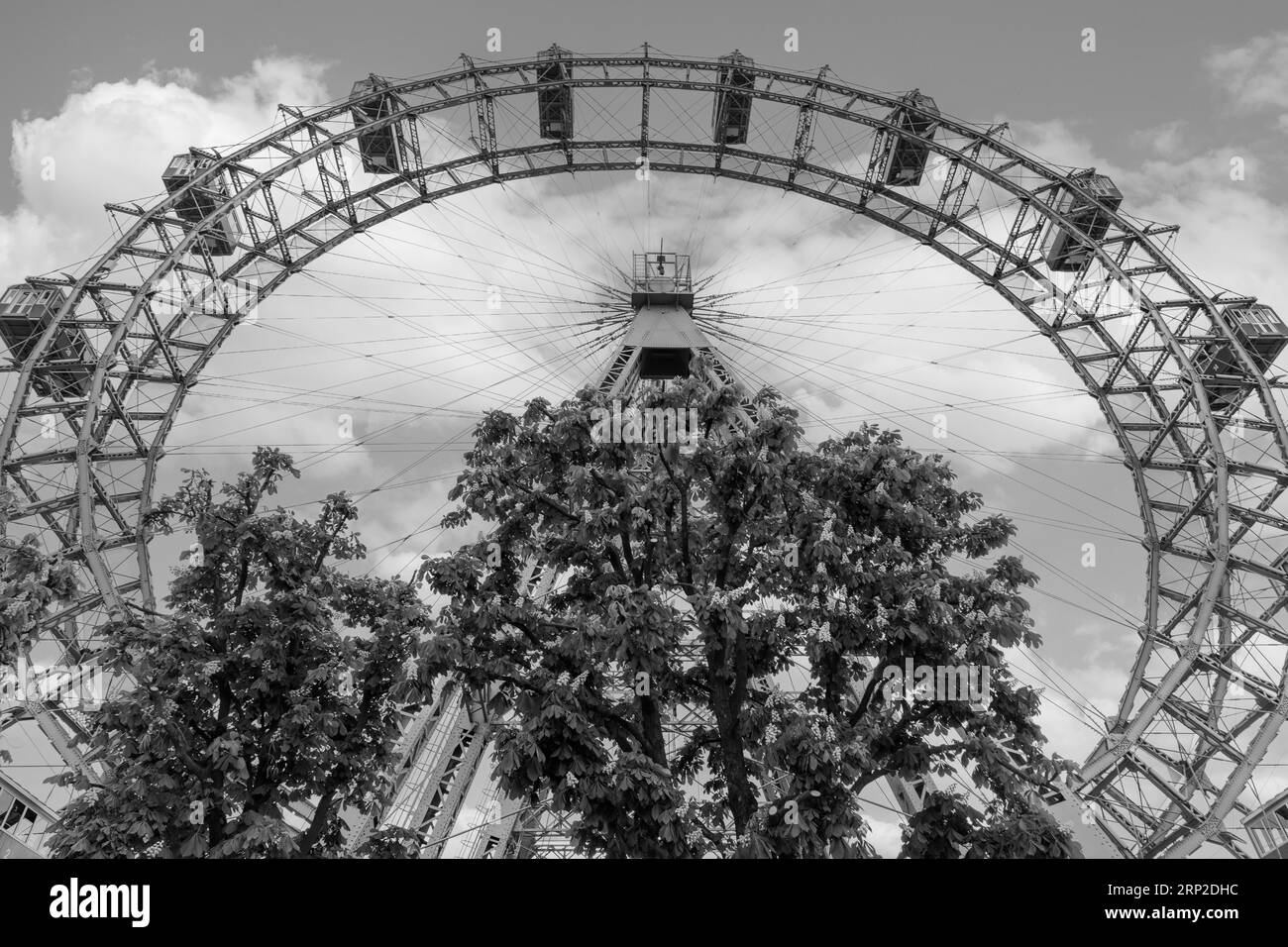 The Vienna Giant Ferris Wheel in front of flowering chestnut trees (Castanea), black and white photograph, Prater, Vienna, Austria Stock Photo