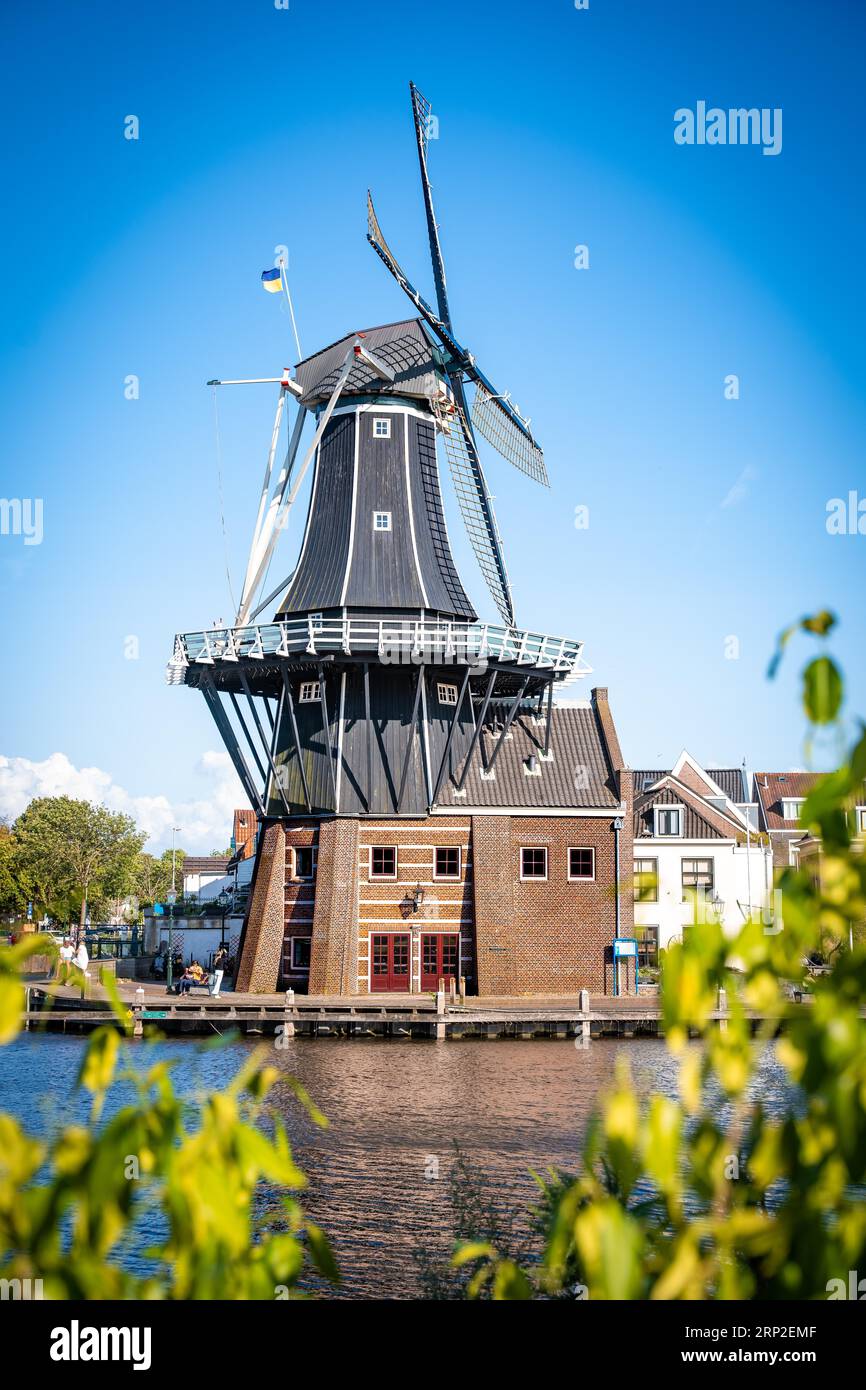 Historic Mill On The Waterfront Haarlem Netherlands Stock Photo Alamy